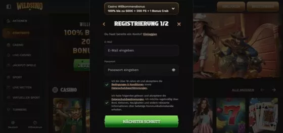 Wildsino Casino-Registrierung